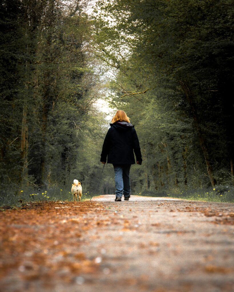 Photographie d'un chien shiba inu et de son maître marchant de dos en forêt en Alsace