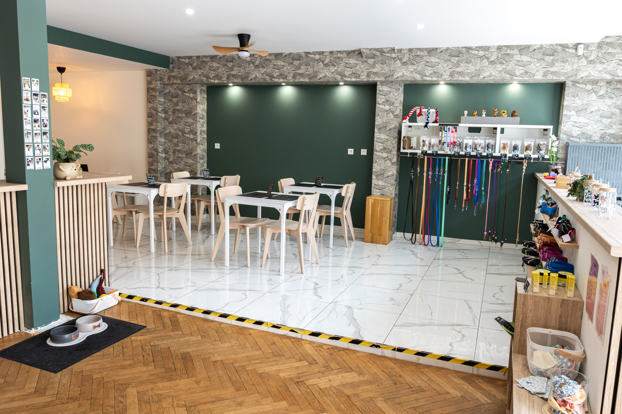 photographie d'un dog café à sélestat avec une vue d'ensemble