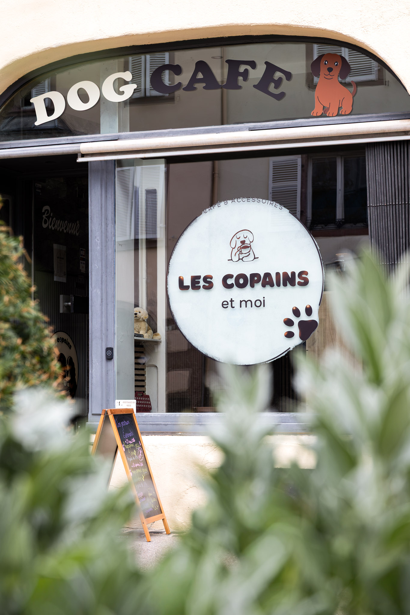 photographie de la devanture d'un café pour chien